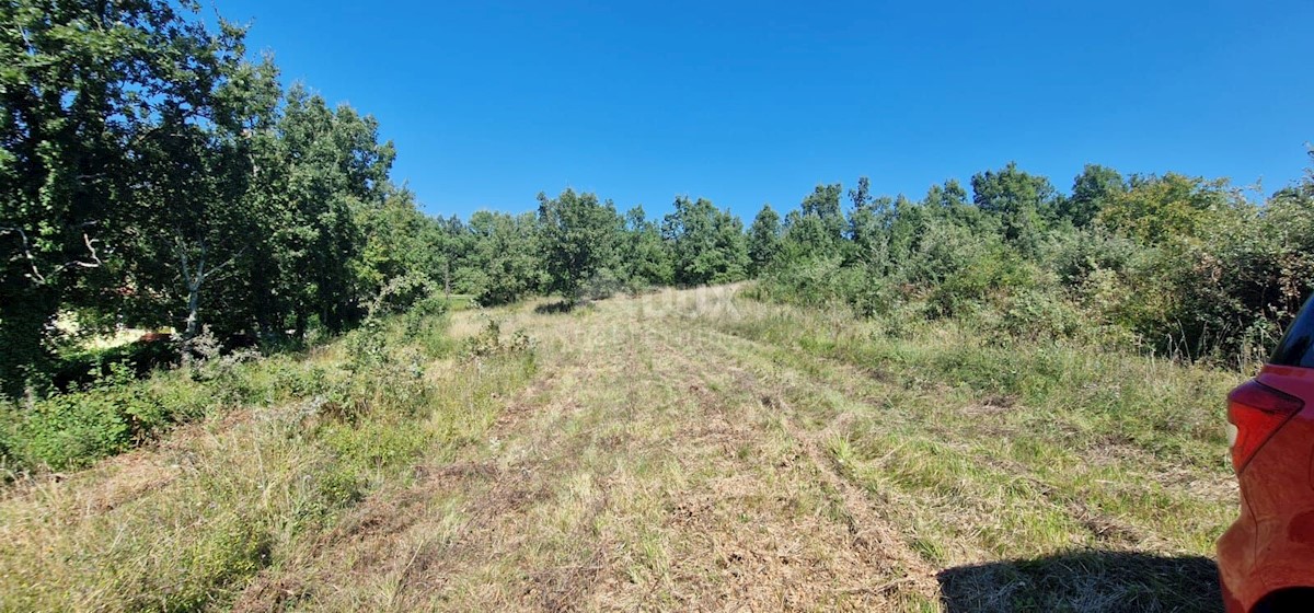 Terreno In vendita - ISTARSKA GROŽNJAN