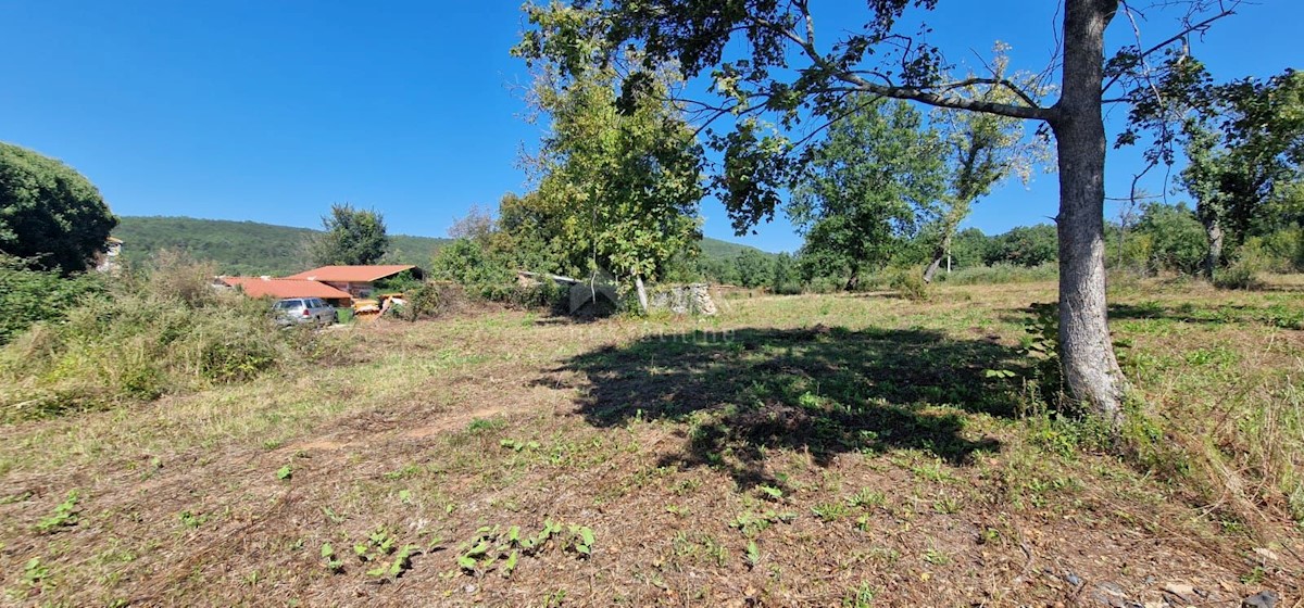 Terreno In vendita - ISTARSKA GROŽNJAN