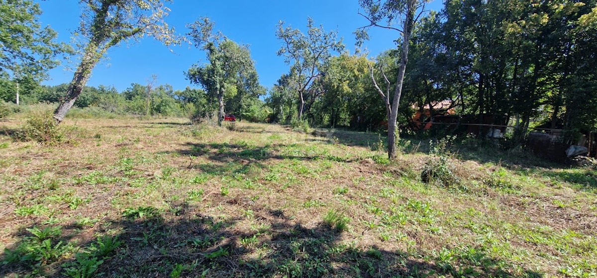 Terreno In vendita - ISTARSKA GROŽNJAN