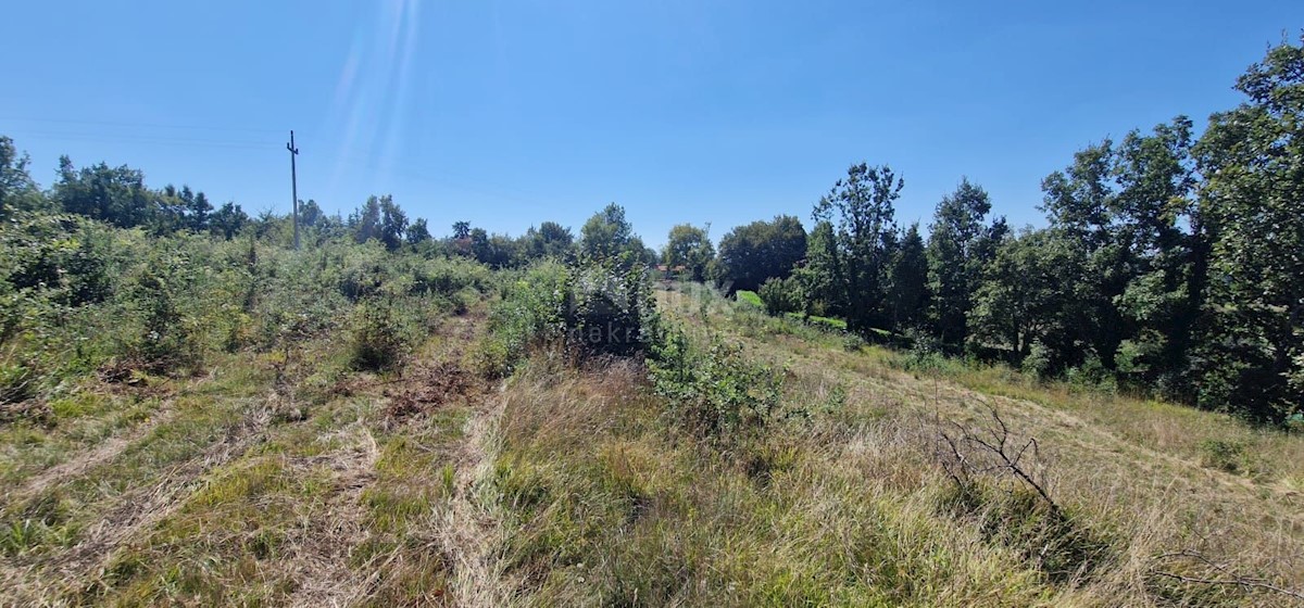 Terreno In vendita - ISTARSKA GROŽNJAN