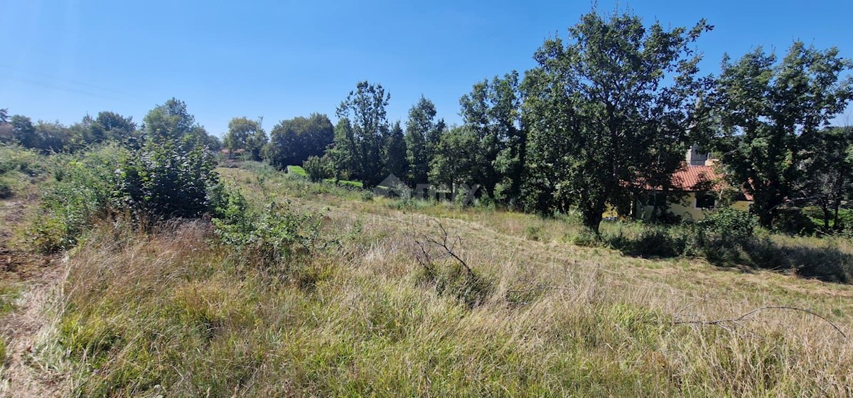 Terreno In vendita - ISTARSKA GROŽNJAN