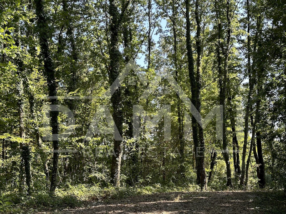 Parcela Na predaj - ISTARSKA PAZIN