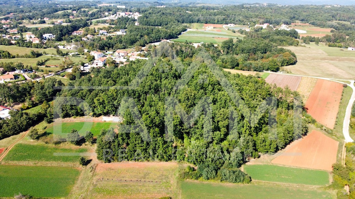 Parcela Na predaj - ISTARSKA PAZIN