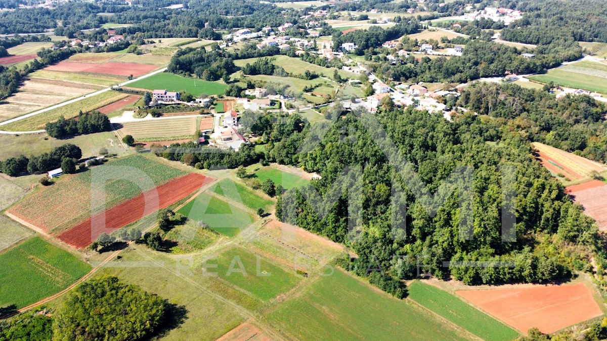 Parcela Na predaj - ISTARSKA PAZIN