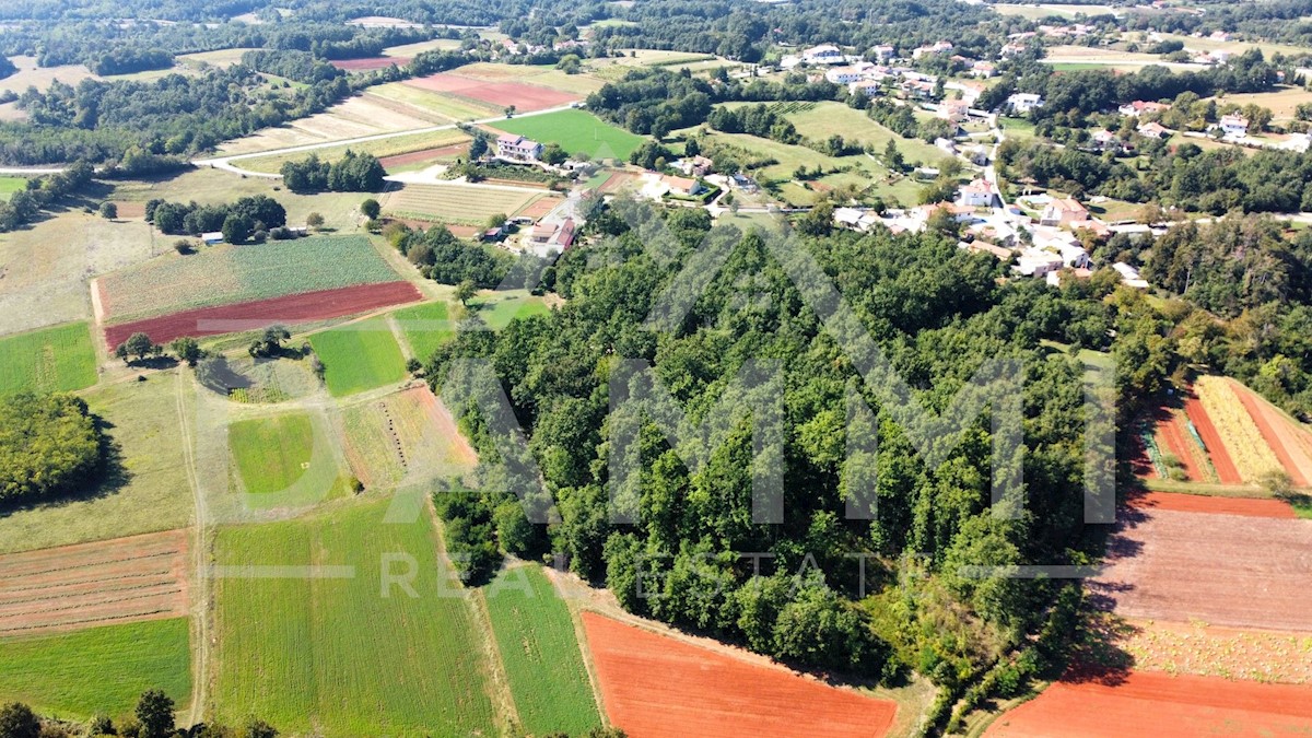 Parcela Na predaj - ISTARSKA PAZIN