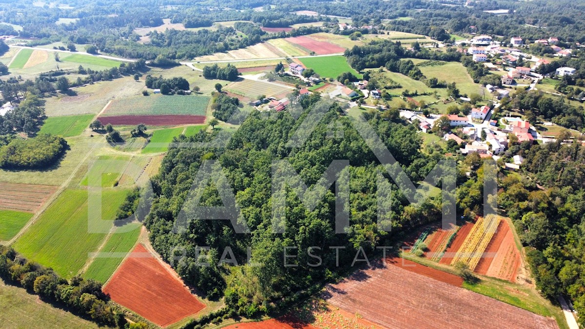 Parcela Na predaj - ISTARSKA PAZIN