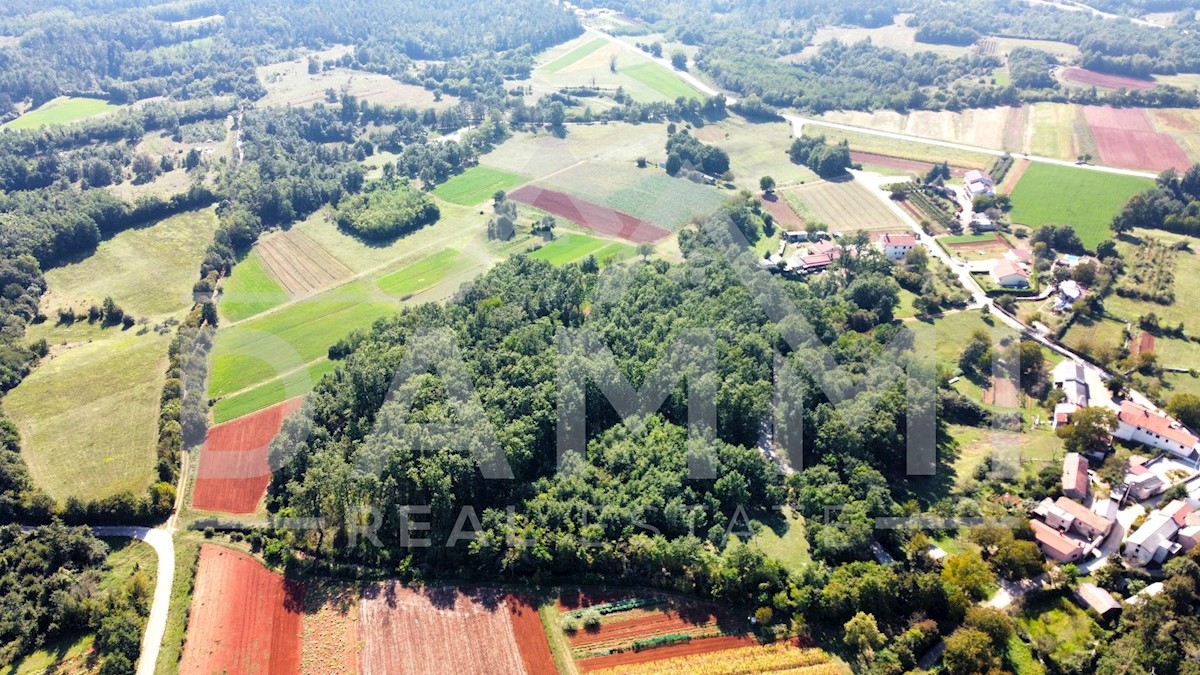 Parcela Na predaj - ISTARSKA PAZIN
