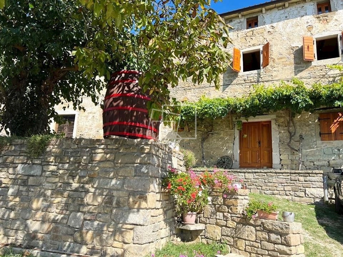 House For sale - ISTARSKA OPRTALJ