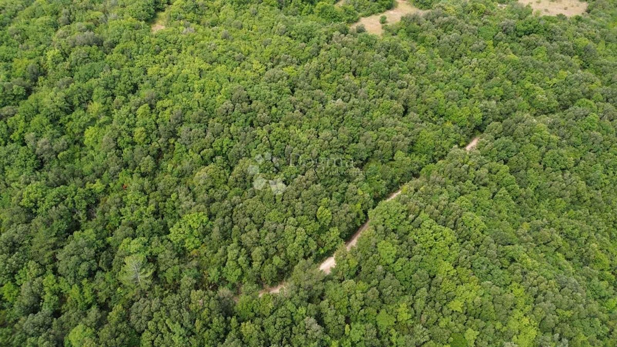 Terreno In vendita - ISTARSKA LABIN