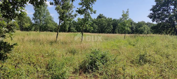 Terrain à vendre 5937 m² – Žikovići