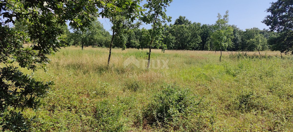 Terrain À vendre - ISTARSKA VIŠNJAN