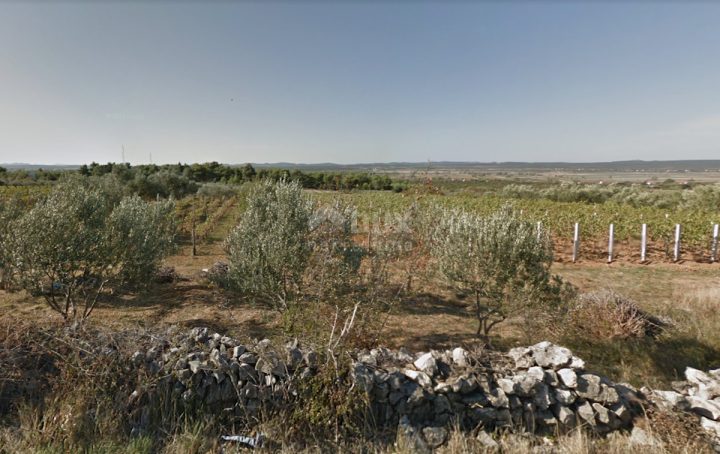 Land for sale 1600 m² – Tinj