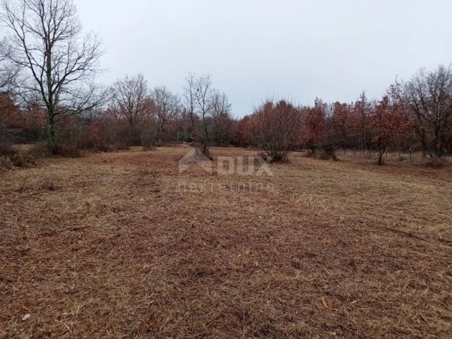 Parcela Naprodaj - Istarska Višnjan - foto 3/3