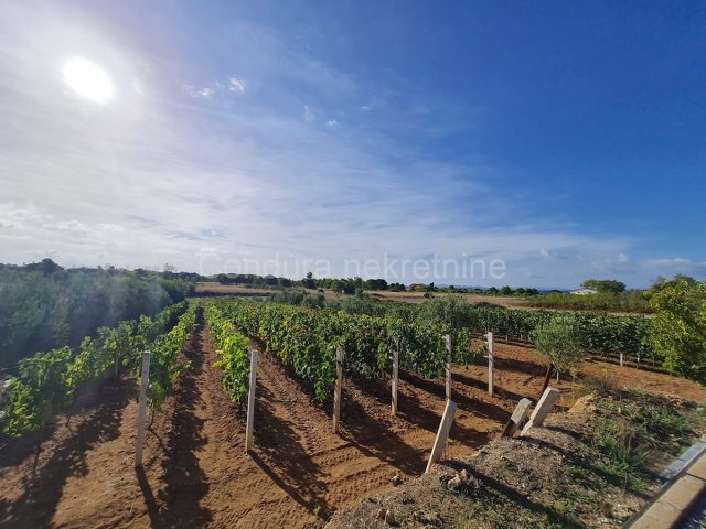 Land For sale - Zadarska Nin - foto 2/2