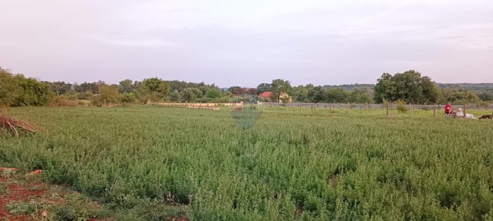 Zemljište Na prodaju - Istarska Marčana - foto 2/3