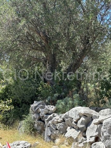Land For sale - Splitsko-dalmatinska Marina - foto 2/3