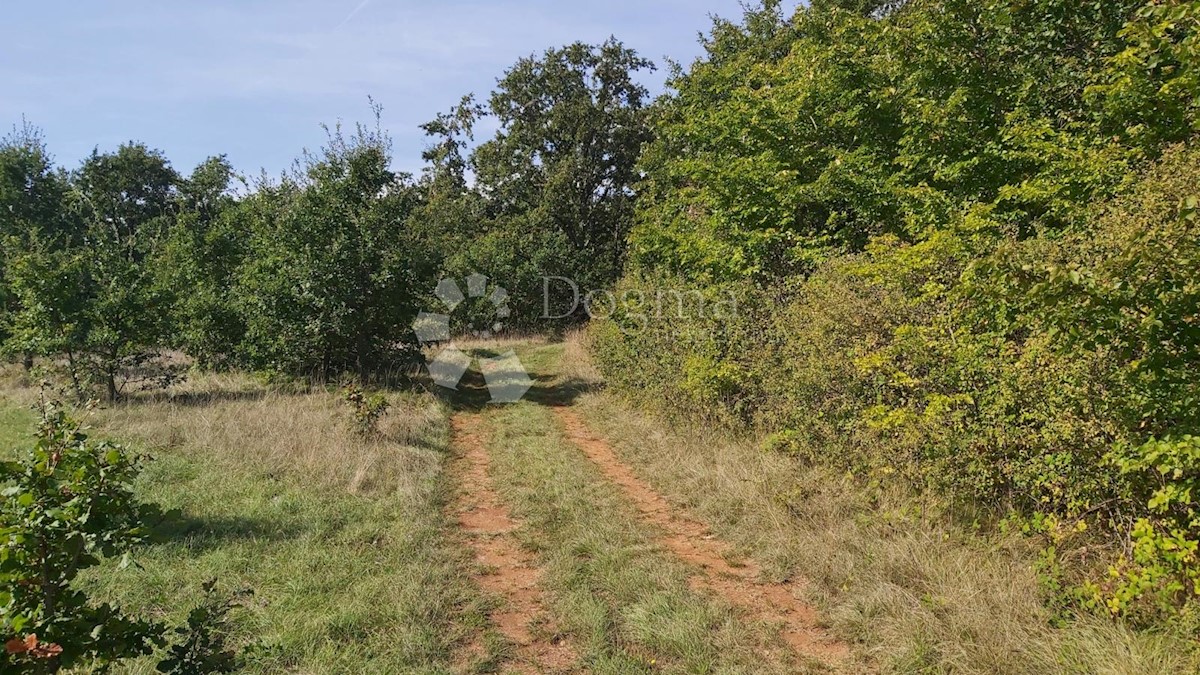 Pozemek Na prodej - ISTARSKA LABIN