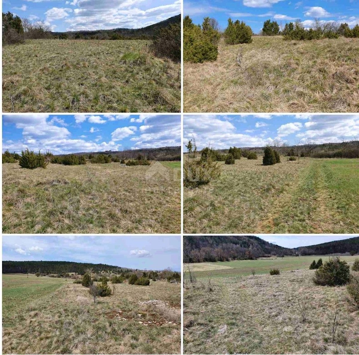 Land For sale - ISTARSKA GROŽNJAN