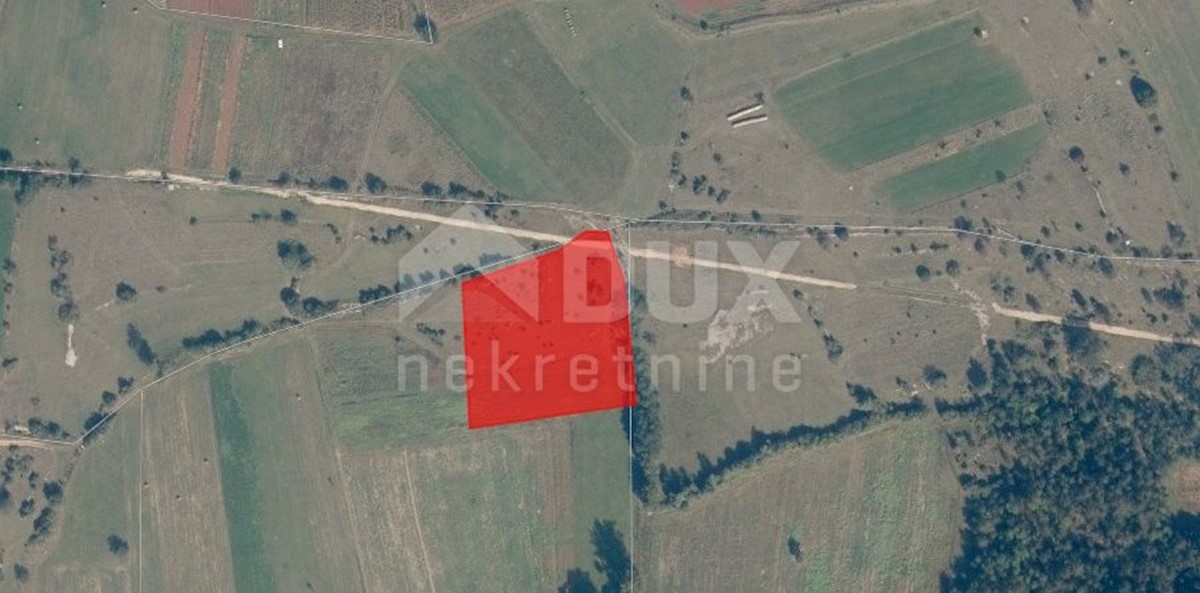 Land For sale - ISTARSKA GROŽNJAN