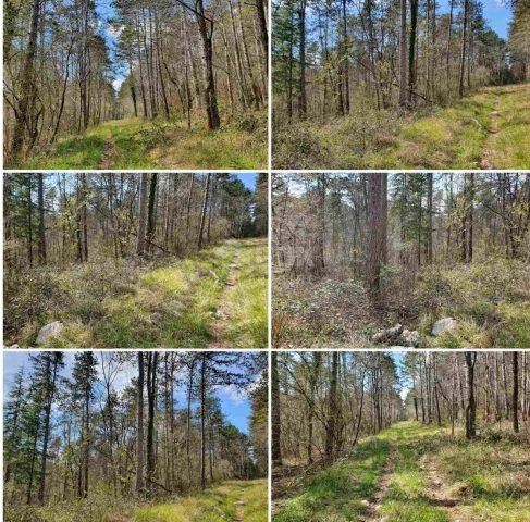 Terrain à vendre 4239 m² – Završje