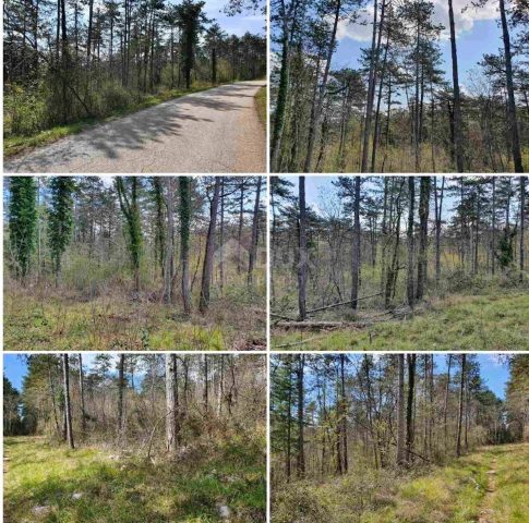 Terrain à vendre 10514 m² – Završje