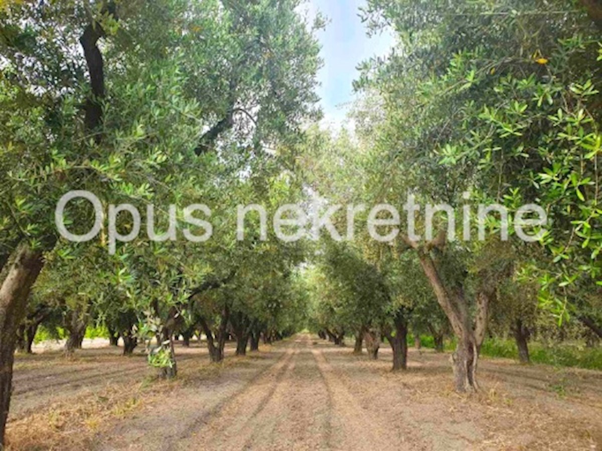 Pozemok Na predaj - DUBROVAČKO-NERETVANSKA OPUZEN