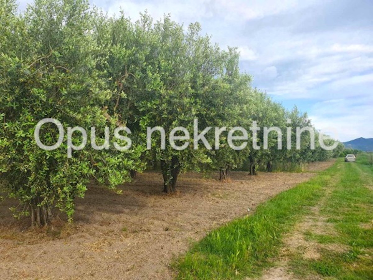 Pozemok Na predaj - DUBROVAČKO-NERETVANSKA OPUZEN