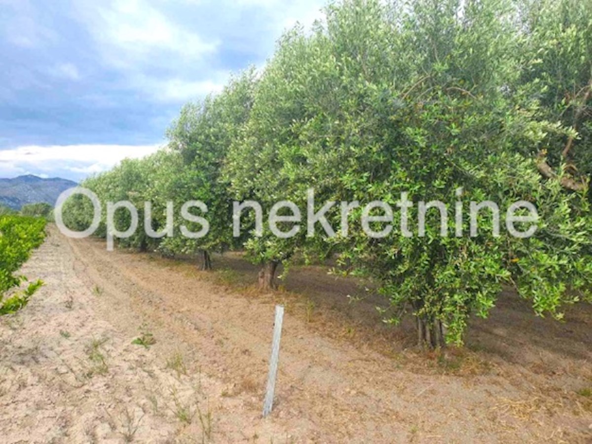 Pozemok Na predaj - DUBROVAČKO-NERETVANSKA OPUZEN