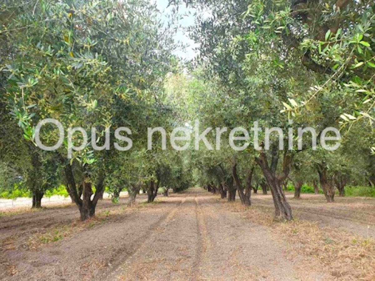 Pozemok Na predaj - DUBROVAČKO-NERETVANSKA OPUZEN