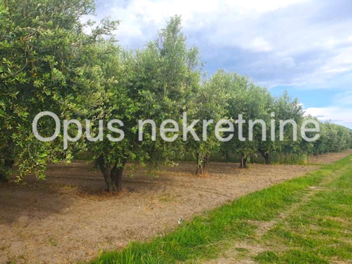 Pozemok Na predaj - DUBROVAČKO-NERETVANSKA OPUZEN