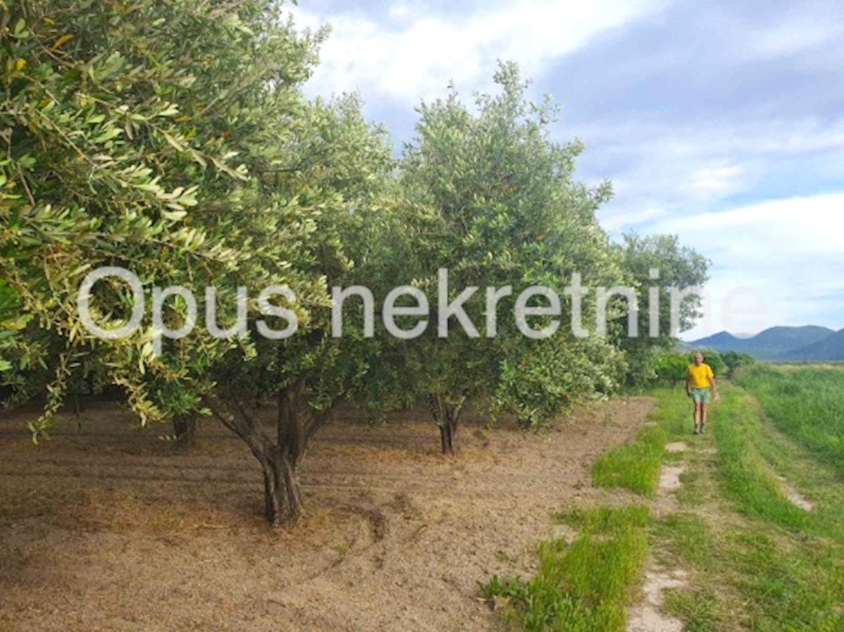 Pozemok Na predaj - DUBROVAČKO-NERETVANSKA OPUZEN