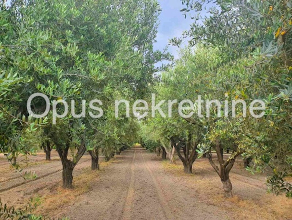 Pozemok Na predaj - DUBROVAČKO-NERETVANSKA OPUZEN