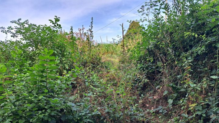 Land For sale - Primorsko-goranska Matulji - foto 2/2