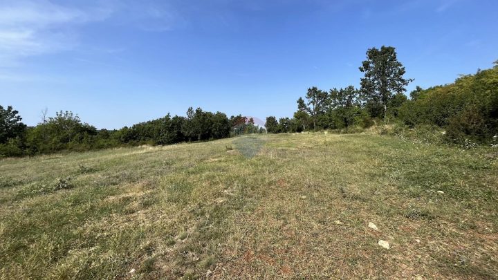 Parcela Naprodaj - Istarska Višnjan - foto 4/4