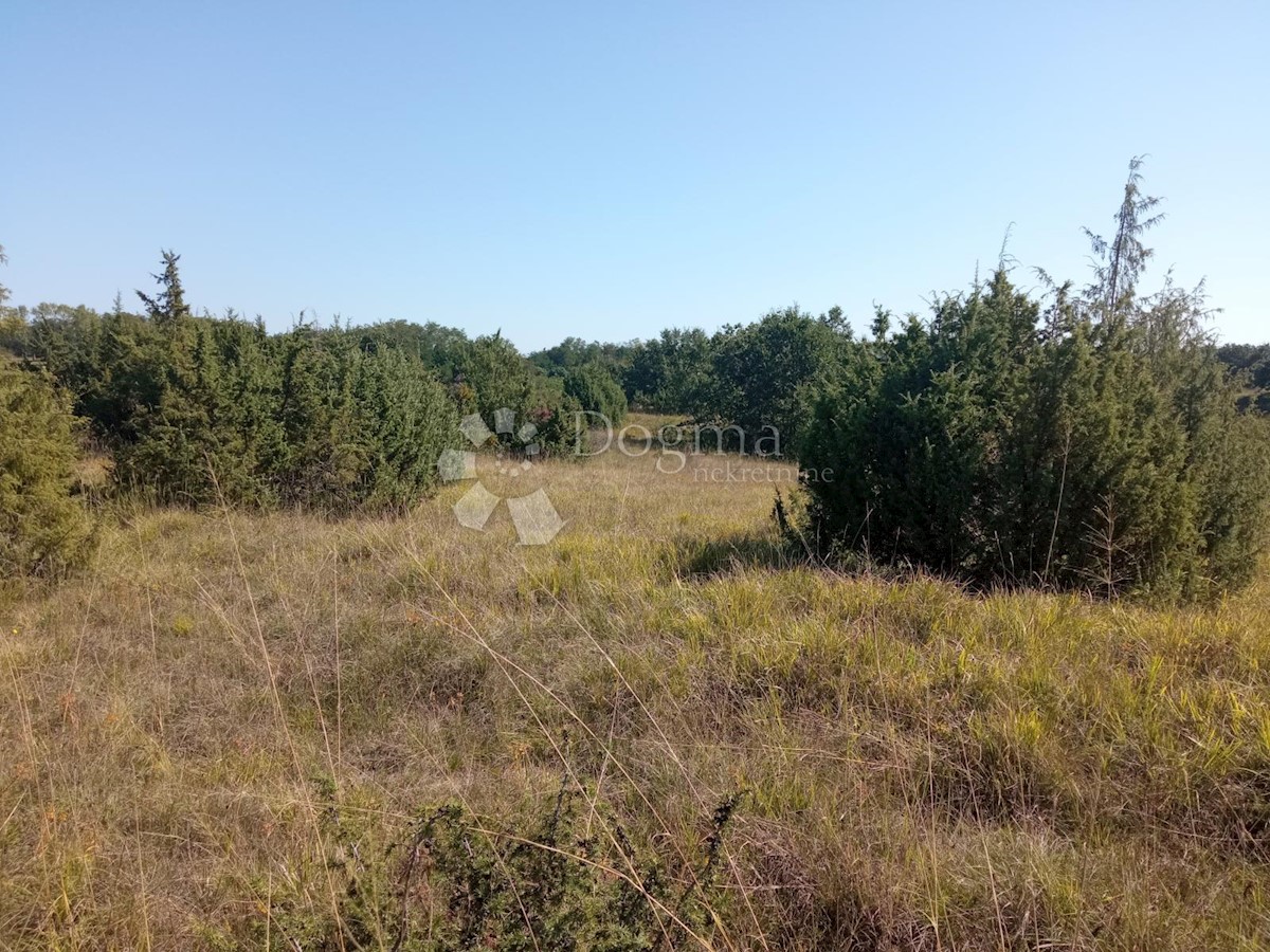 Land For sale - ISTARSKA PAZIN