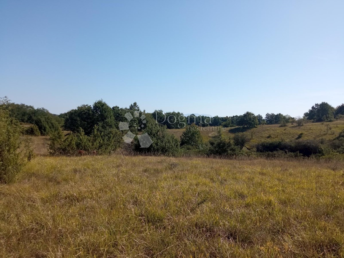 Land For sale - ISTARSKA PAZIN