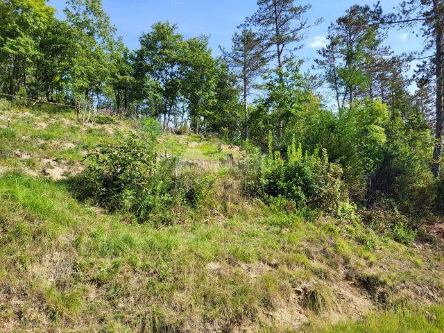 Zemljište na prodaju 4873 m² – Hum