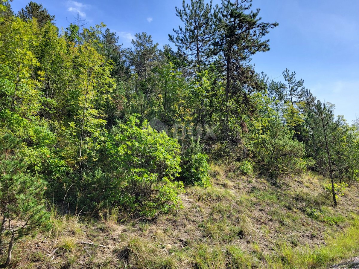 Terrain À vendre - ISTARSKA BUZET