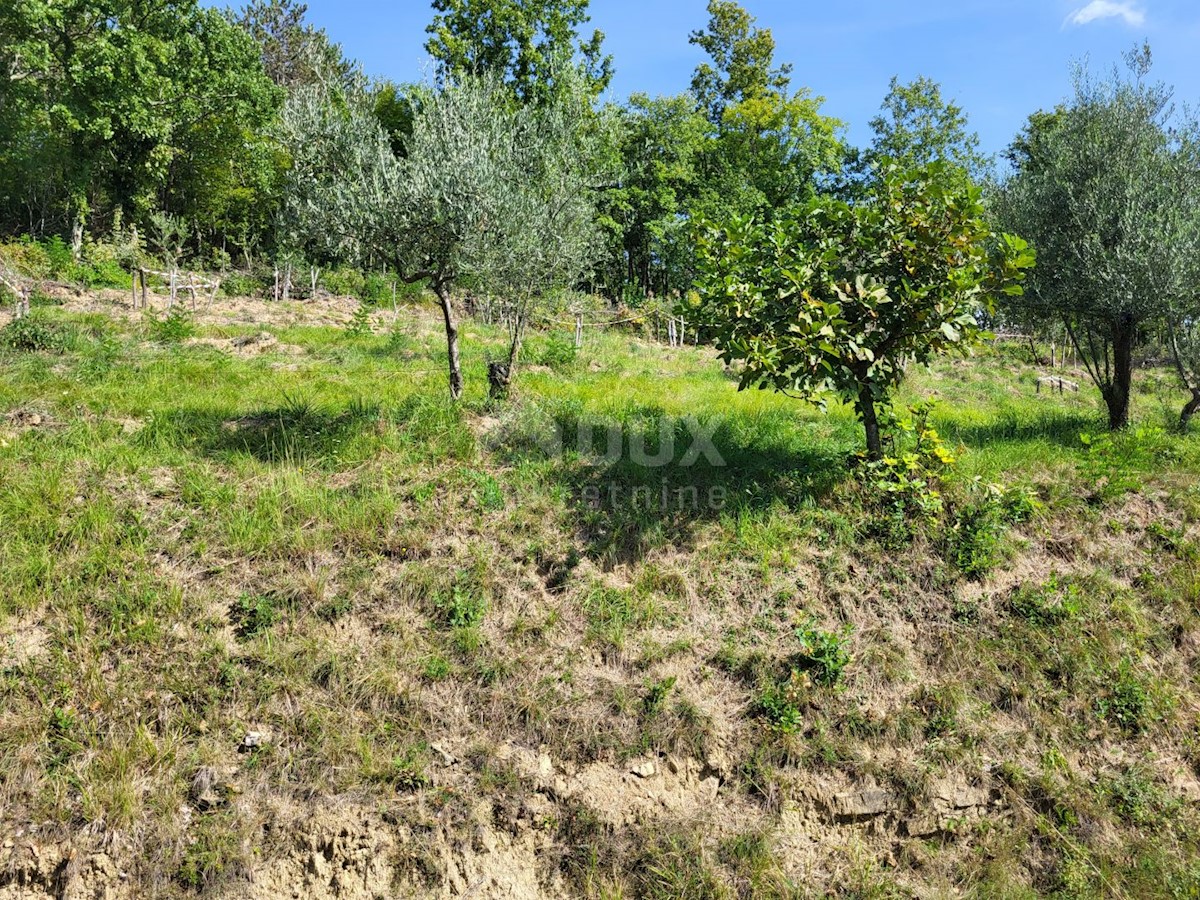 Parcela Naprodaj - ISTARSKA Buzet