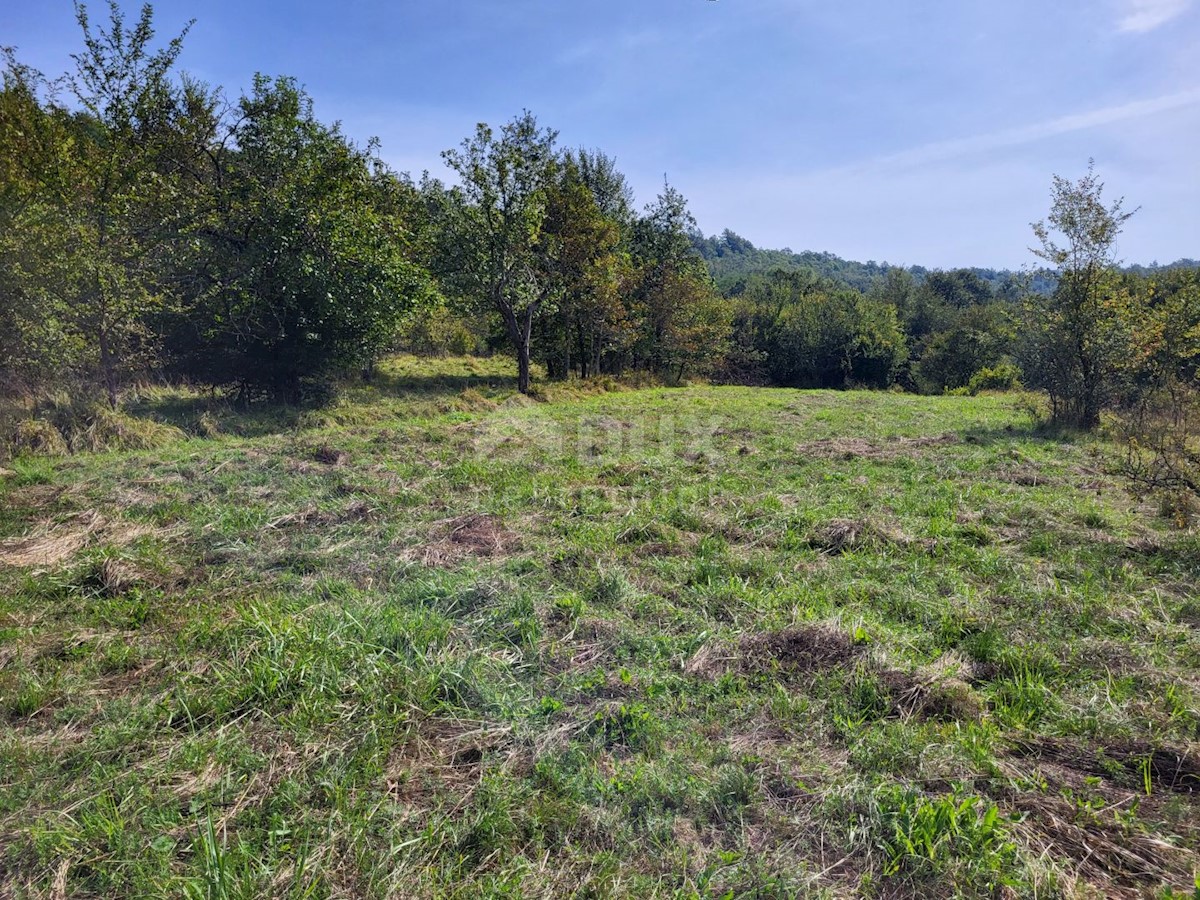 Land For sale HUM