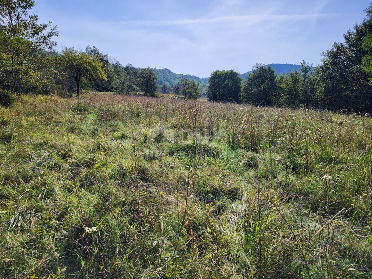 Land For sale - ISTARSKA BUZET