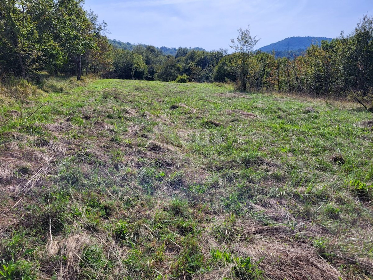 Land For sale - ISTARSKA BUZET