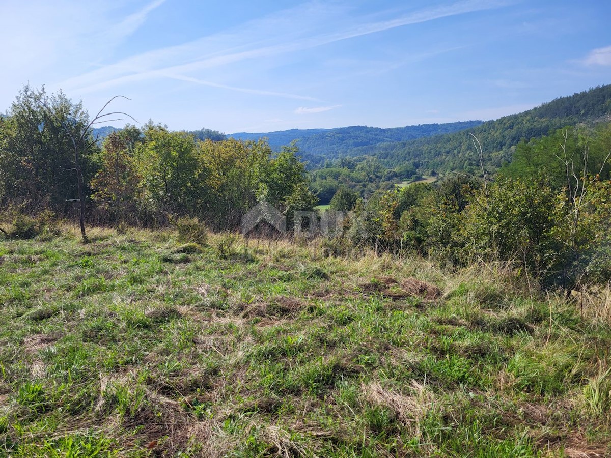 Land For sale - ISTARSKA BUZET