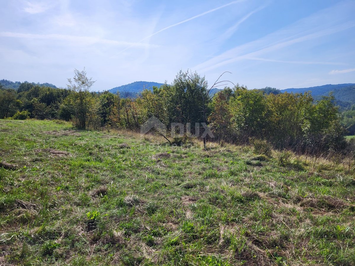 Land For sale - ISTARSKA BUZET