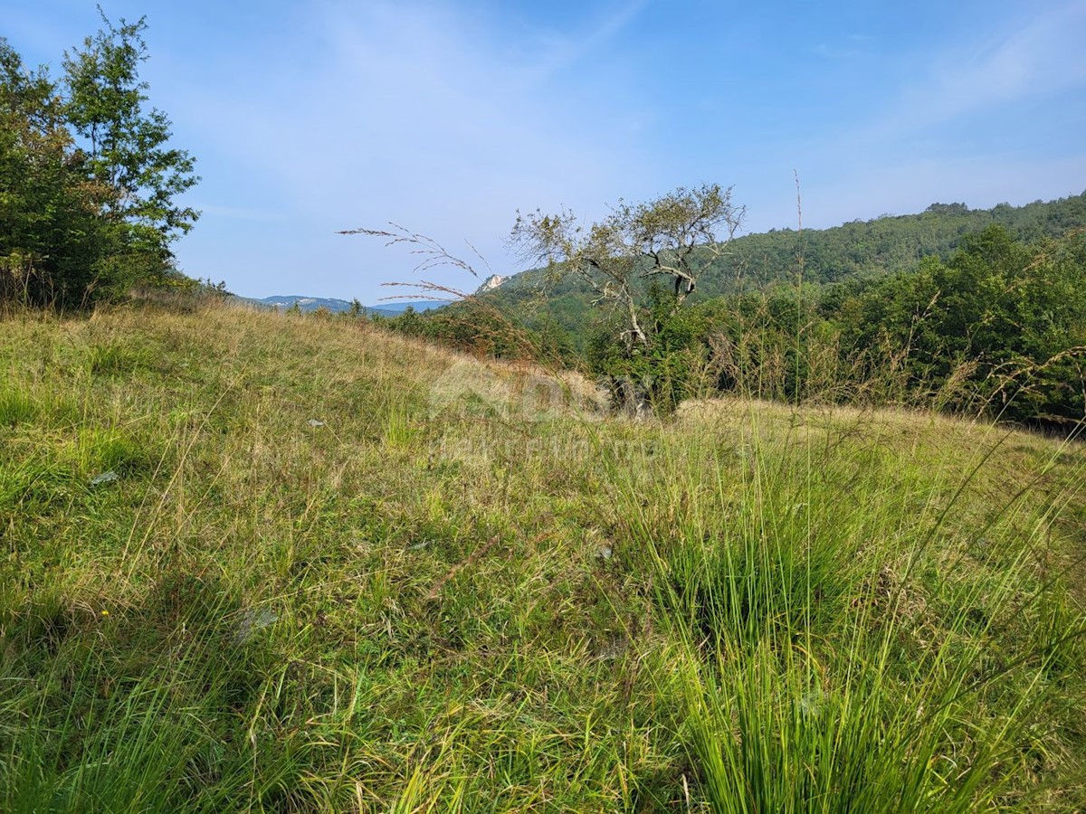 Land For sale - ISTARSKA BUZET