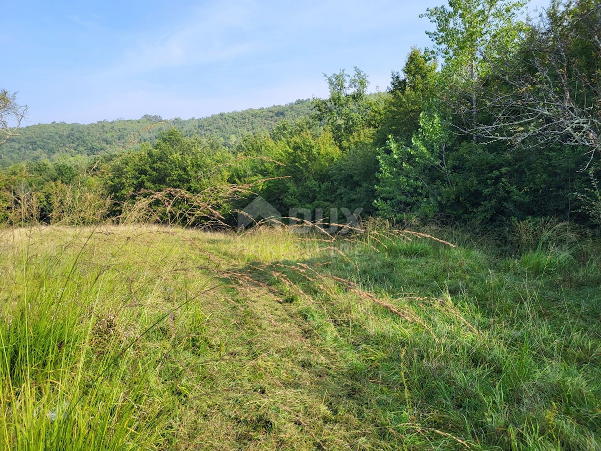 Land For sale - ISTARSKA BUZET