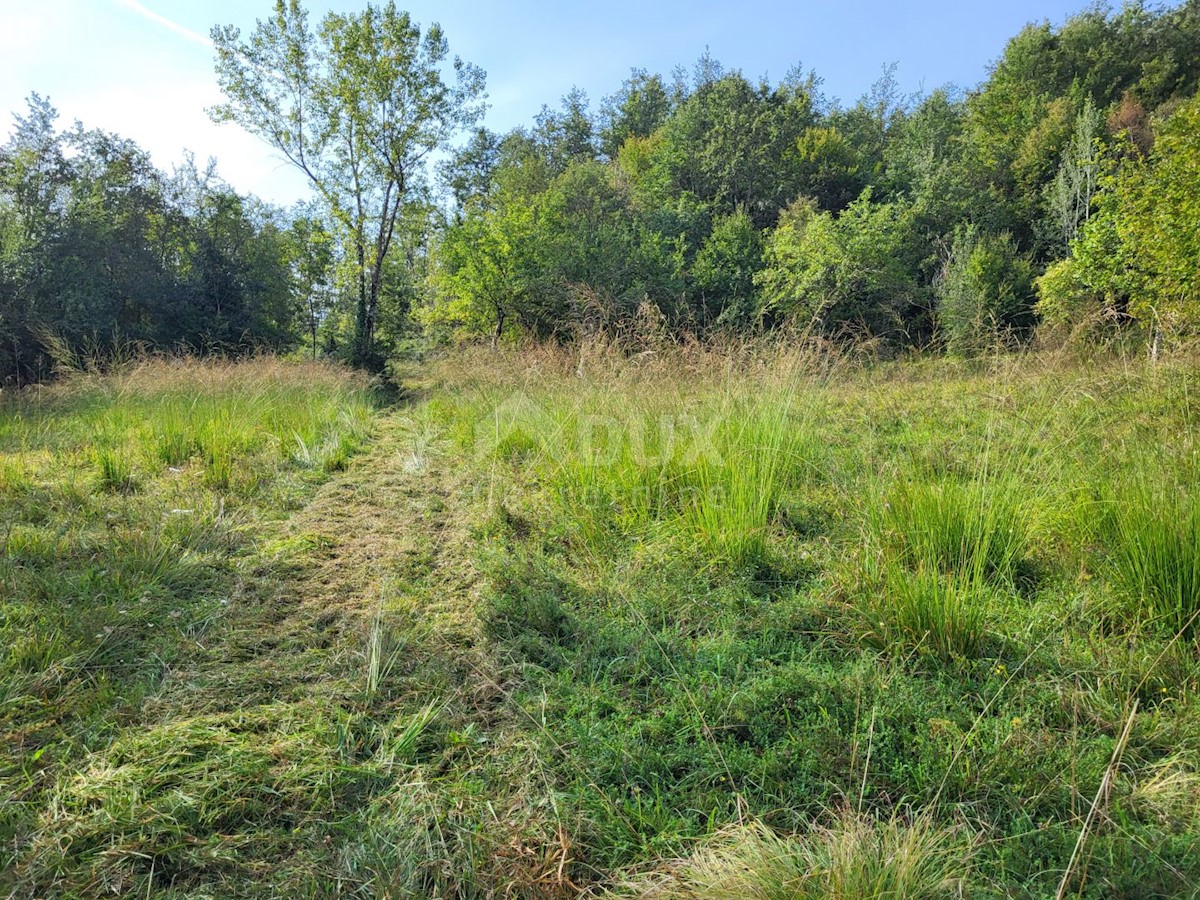 Terrain À vendre - ISTARSKA BUZET