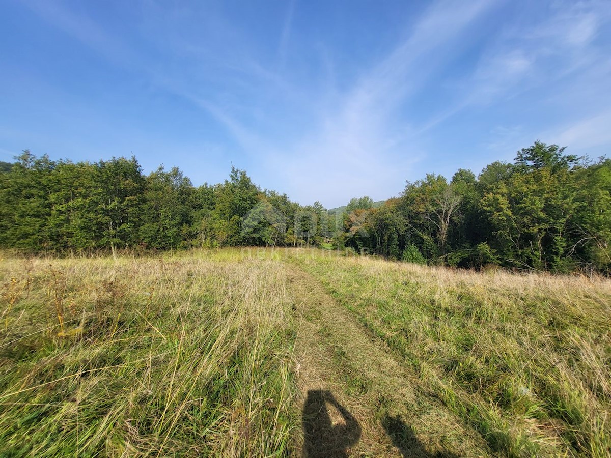 Terreno In vendita - ISTARSKA BUZET