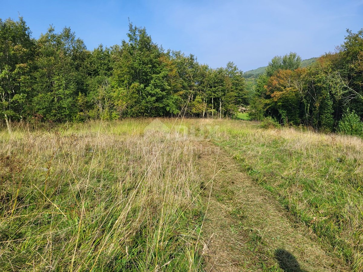 Land For sale - ISTARSKA BUZET