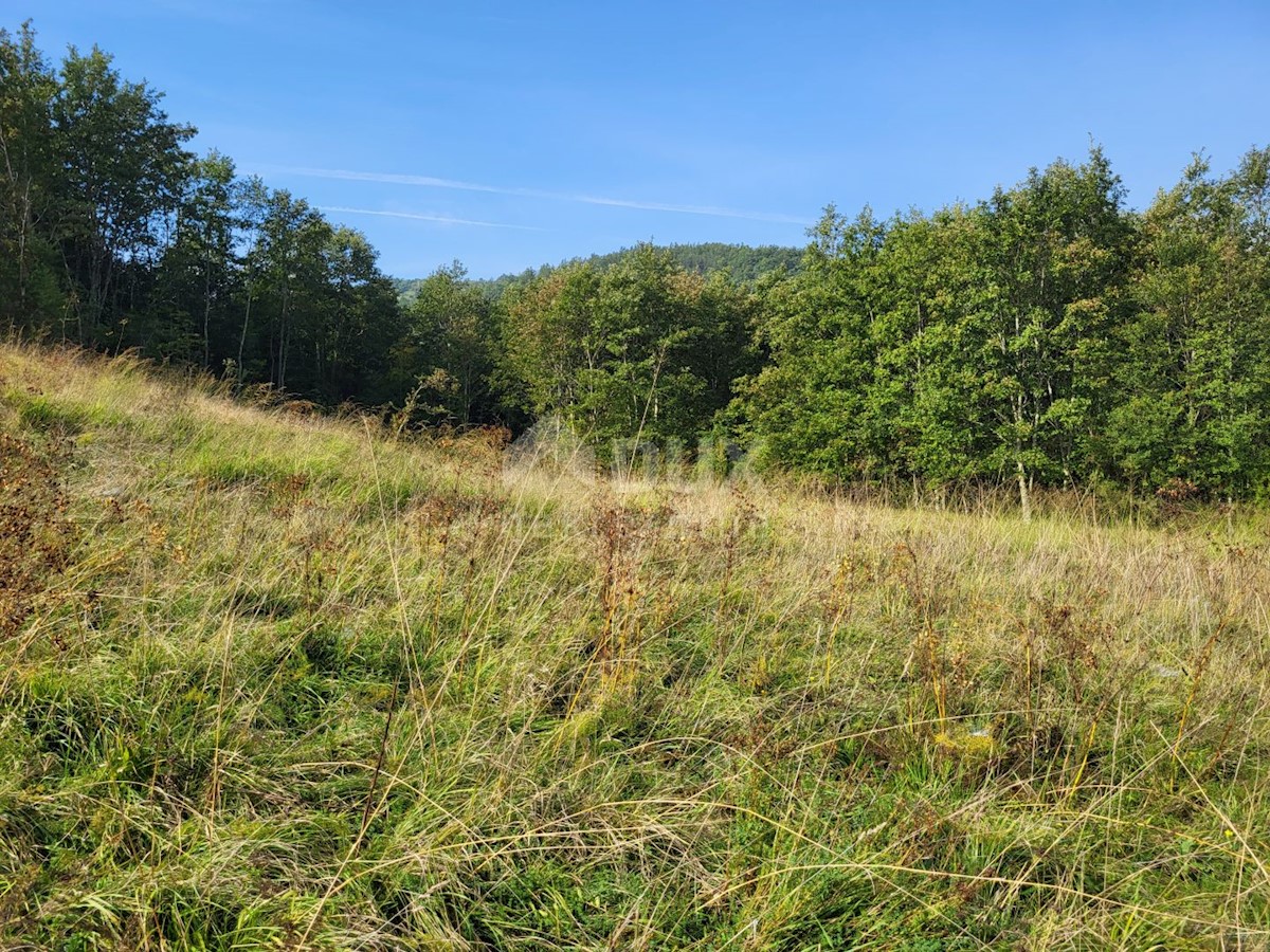 Terreno In vendita - ISTARSKA BUZET